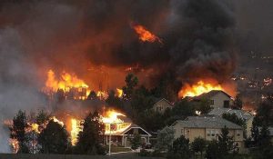 Large Neighborhood Wildfire